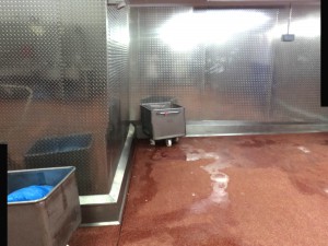 Gallery - Stainless Steel Cladding